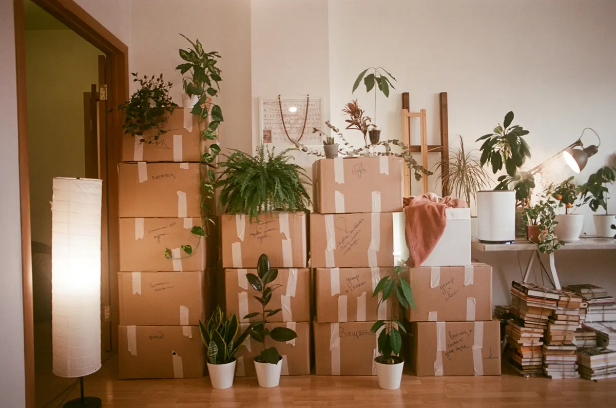 A home packed into boxes, the plants kept out till the end