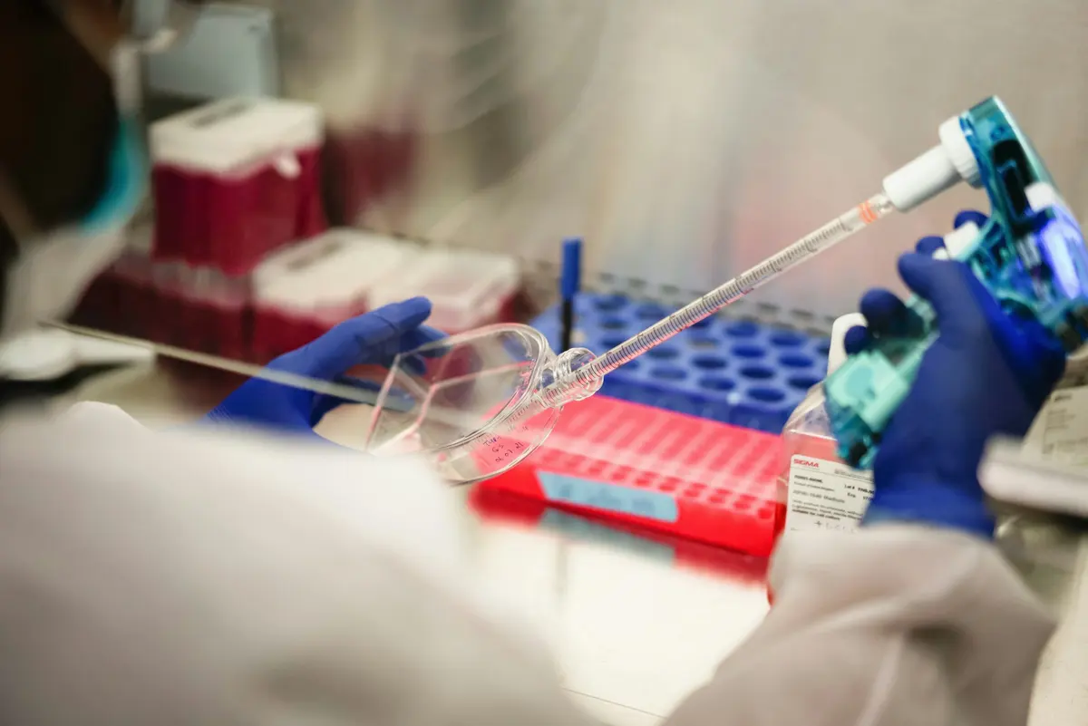 Pipetting samples in a lab